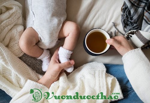 chè vằng lợi sữa cho phụ nữ sau sinh