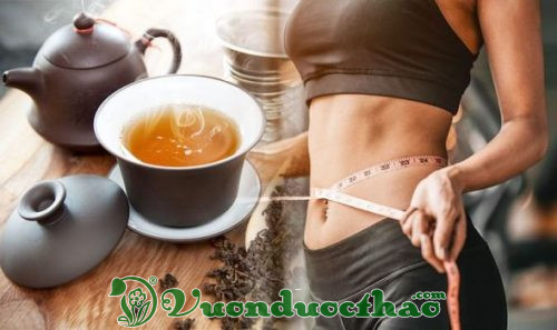 giảm cân bằng cao chè vằng